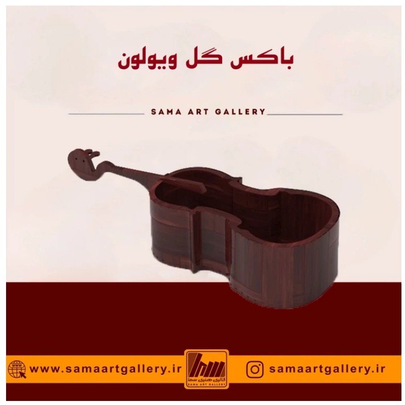 باکس گل ویولون